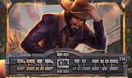 Dead or Alive 2 at Mr Jones Casino