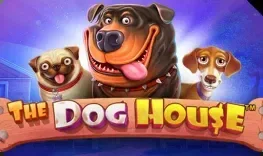 The Dog House at Mr Jones Casino