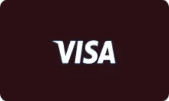 Visa payments at Mr Jones Casino